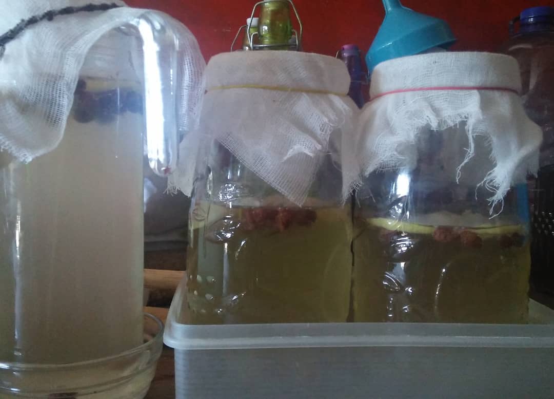 72099548_3071360169604956_7746777136781852672_o