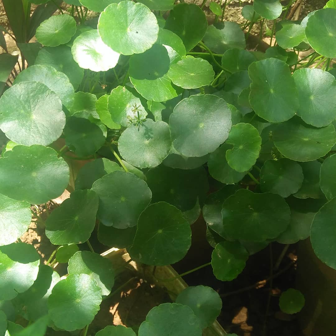 74790619_3114220221985617_4836917212985950208_o