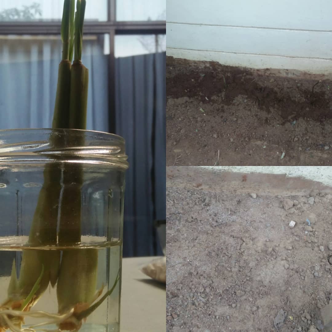 76602199_3198629430211362_4132682579490897920_o