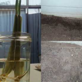 76602199_3198629430211362_4132682579490897920_o