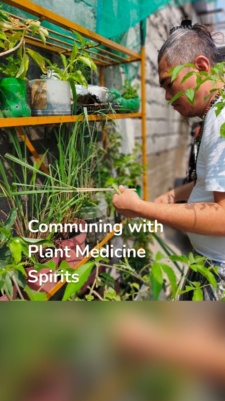 Communing with Plant Medicine Spirits